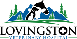 Lovingston Veterinary Hospital Logo