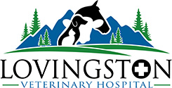 Lovingston Veterinary Hospital