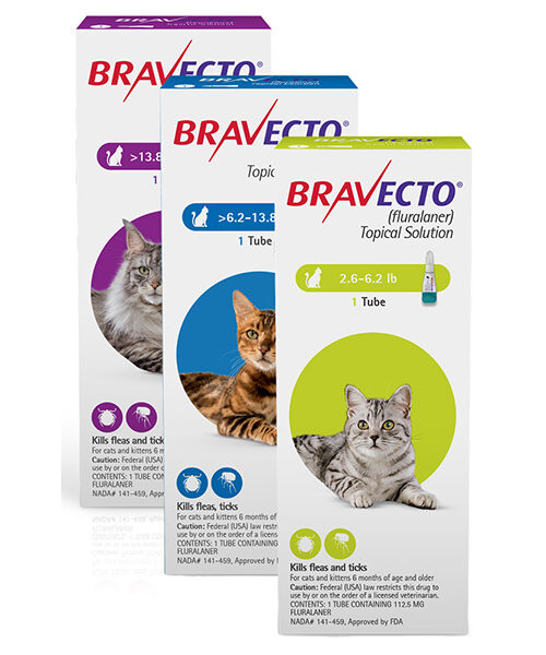 BRAVECTO® Topical for Cats - 12 Week Protection