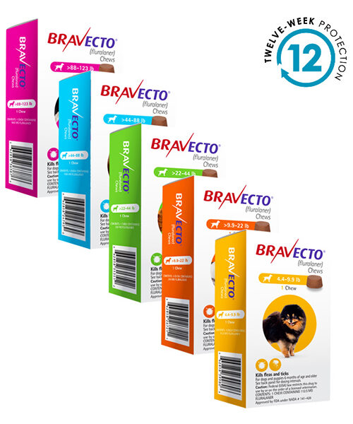 BRAVECTO® Chew for Dogs - 12 Week Protection