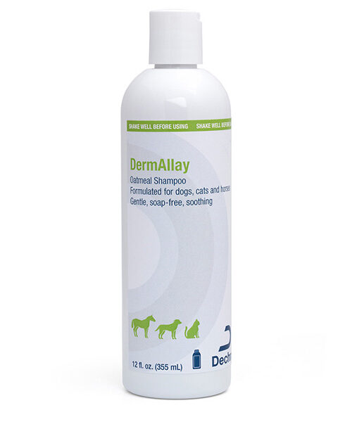 DermAllay Oatmeal Shampoo - 12 oz