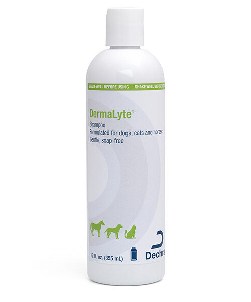 DermaLyte® Shampoo - 12 oz