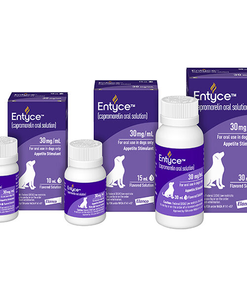 Entyce™ Oral Solution for Dogs