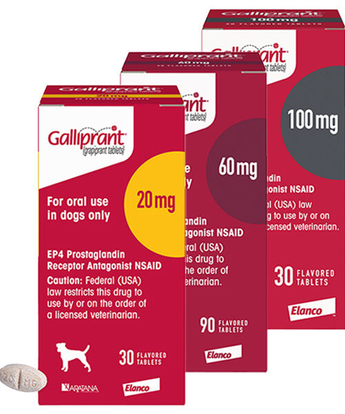 Galliprant® Flavored Tablets for Dogs