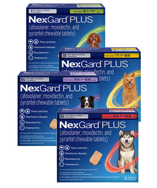 NexGard® PLUS Chews for Dogs