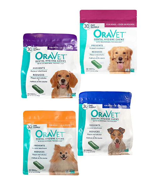 Oravet small dog chews best sale