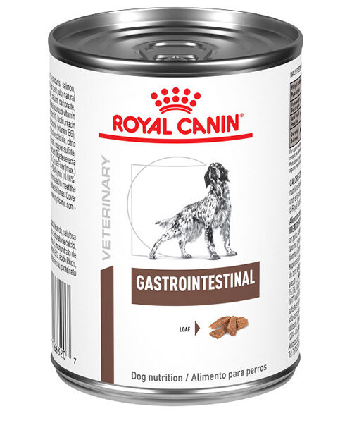 Royal Canin Canine Gastrointestinal Loaf Canned Dog Food 13.5 oz - Loaf (24 cans/case)