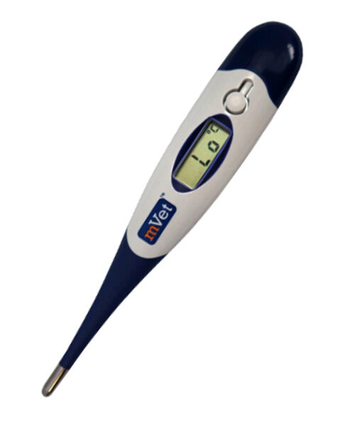 Thermometer